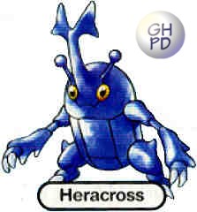 Heracross