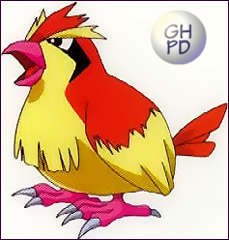 Pidgey